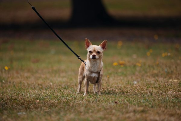 Wie kann man nachhaltige Modepraktiken in den Alltag integrieren?
